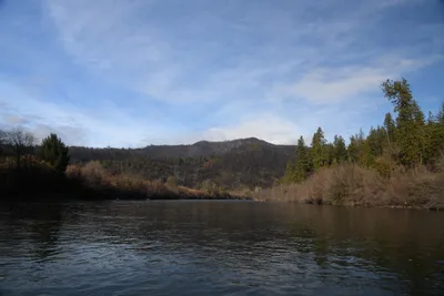 DSC_0281 (Large).JPG